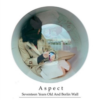 17歳とベルリンの壁『Aspect』