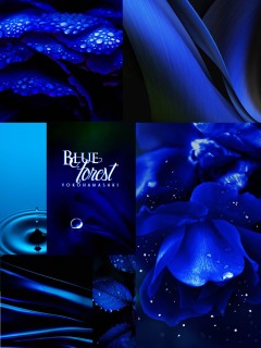Blue Forest-Album Image