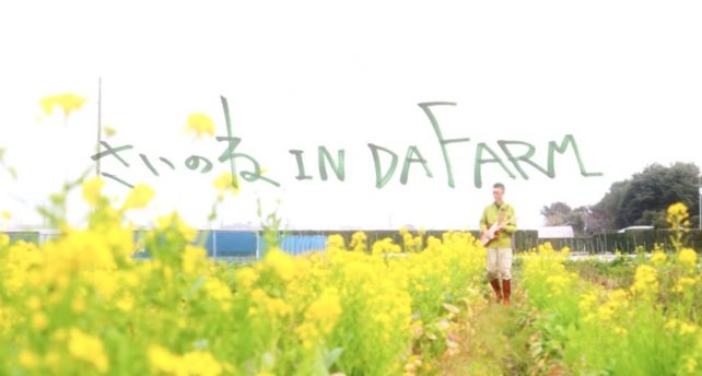 さいのね IN DA FARM