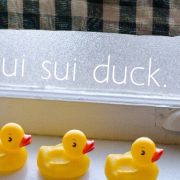 sui-sui-duck