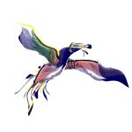HOPI、初公式EP『OWL』本日8月10日配信リリース。妖艶でスピリチュアルなエレクトロ4曲を収録