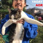YAOAY、笹口騒音から改名後初アルバム『AOR』本日10月10日に突然のサプライズ配信リリース。新MV「ばあちゃん」公開に