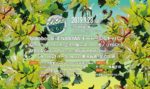 9月28日開催の兵庫丹波の複合型音楽フェス『スパイスだもの。2019』タイムテーブルを発表。ヘッドライナーはbirdに