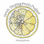 Serph、誰でも参加できるコラボ企画『Singing Fruits Project』発表。シングル「Citrus」に自由に歌詞とボーカルを載せよう