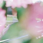 ユメノマ、5thミニアルバム『a quiet yumenoma』リリース。収録曲MV「ロマンティーク」公開