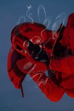 ermhoi、新作アルバム『DREAM LAND』12月15日発売決定。収録曲「埋立地」先行リリース＆10/20 21:00からMVプレミア公開
